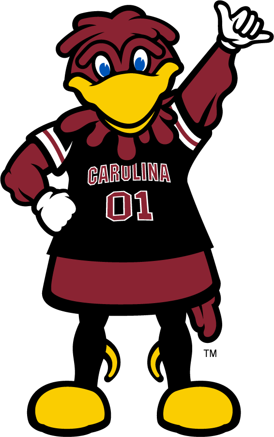 South Carolina Gamecocks 2014-Pres Mascot Logo iron on transfers for T-shirts